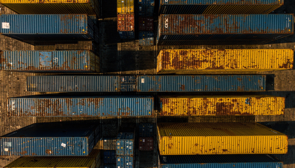 2. La Curva de la Ballena: La Visualización del Dolor